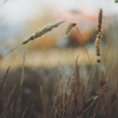 Test Post 1 Engineering image