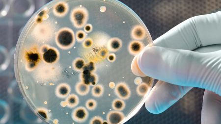 Minton, Treharne & Davies Microbiology Analysis and Testing Services